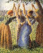 Camille Pissarro Planting scenes painting
